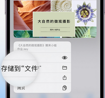 张家口apple维修中心分享iPhone文件应用中存储和找到下载文件