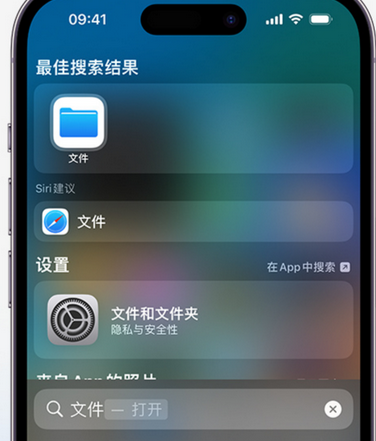 张家口apple维修中心分享iPhone文件应用中存储和找到下载文件 