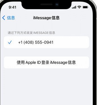 张家口apple维修iPhone上无法正常发送iMessage信息 