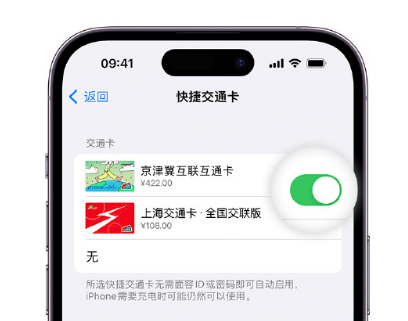 张家口apple维修点分享iPhone上更换Apple Pay快捷交通卡手绘卡面 