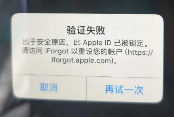 张家口iPhone维修分享iPhone上正常登录或使用AppleID怎么办 