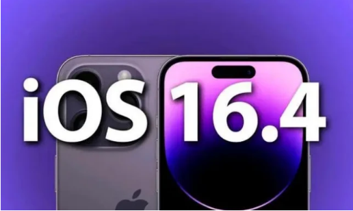 张家口苹果14维修分享：iPhone14可以升级iOS16.4beta2吗？ 