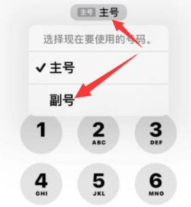 张家口苹果14维修店分享iPhone 14 Pro Max使用副卡打电话的方法 