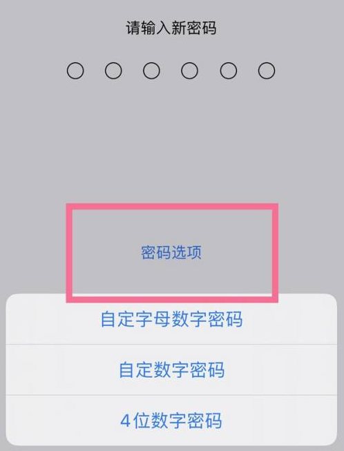 张家口苹果14维修分享iPhone 14plus设置密码的方法 