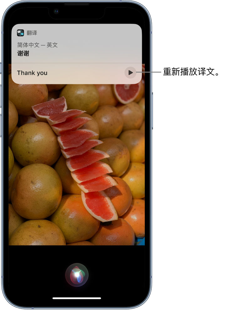 张家口苹果14维修分享 iPhone 14 机型中使用 Siri：了解 Siri 能帮你做什么 