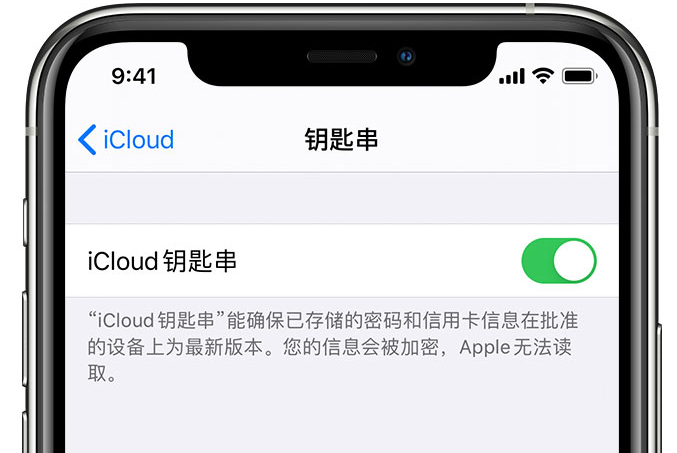 张家口苹果手机维修分享在 iPhone 上开启 iCloud 钥匙串之后会储存哪些信息 