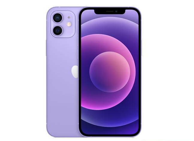 张家口苹果手机维修分享现阶段要不要入手紫色版iPhone12 