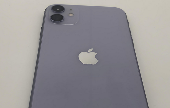 张家口苹果11系统维修分享iPhone11手机系统崩溃无法开机如何解决 